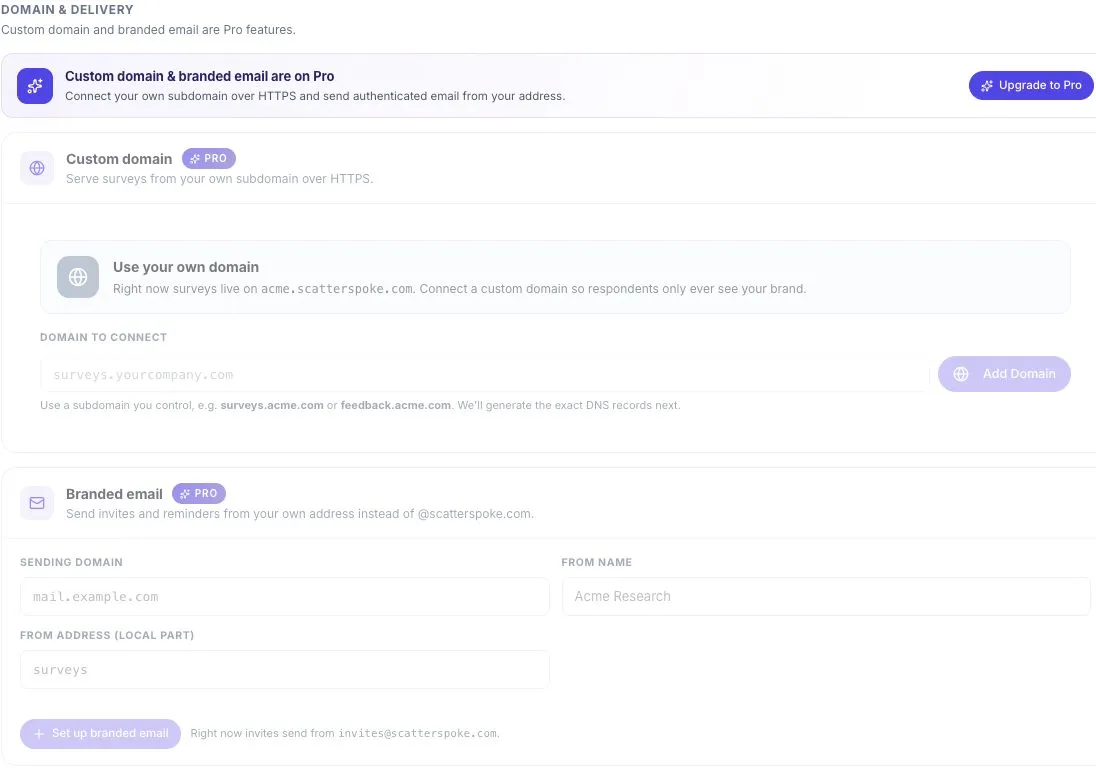 Domain and delivery settings, including branded email setup.